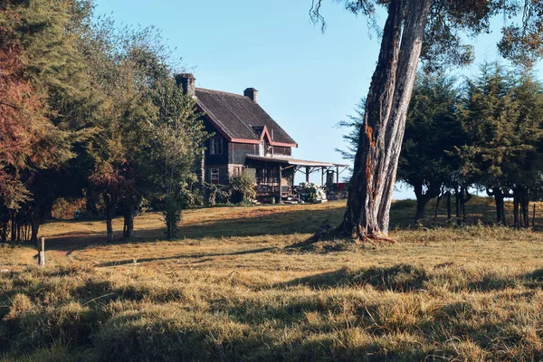 Domki Górach Castle Forest Lodge Park Narodowy Mount Kenya — Zdjęcie stockowe