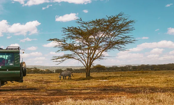Safari Van Scenic Savannah Landscapes Masai Mara National Reserve Kenya — Stock Photo, Image