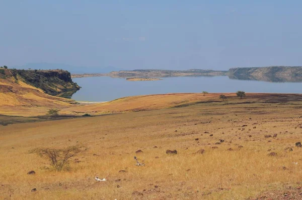 Randonnée Dans Les Paysages Montagneux Pittoresques Kenya Rural — Photo