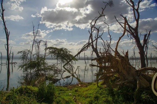 Lago Scenic Contra Cielo Parque Nacional Del Lago Nakuru Kenia —  Fotos de Stock