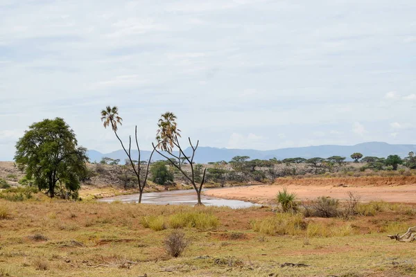 Floden Ewaso Nyiro Panoramautsikt Bergslandskap Samburu National Reserve Kenya — Stockfoto