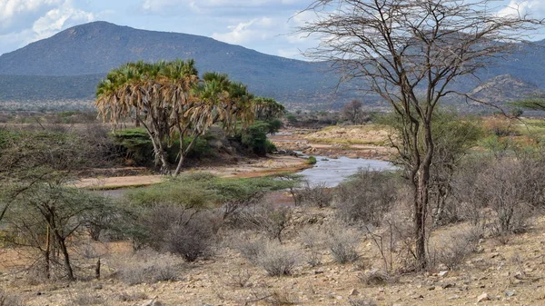 Kenya 'daki Samburu Ulusal Rezervi panoramik dağ manzaralarında Ewaso Nyiro Nehri.