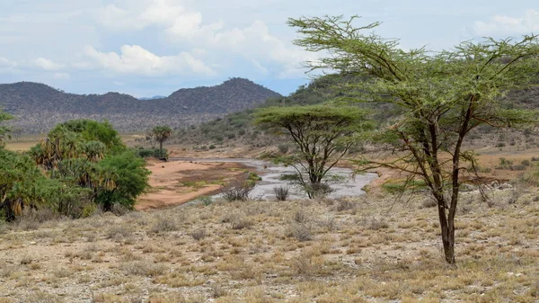 Kenya Daki Samburu Ulusal Rezervi Panoramik Dağ Manzaralarında Ewaso Nyiro — Stok fotoğraf