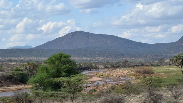 Floden Ewaso Nyiro Panoramautsikt Bergslandskap Samburu National Reserve Kenya — Stockfoto