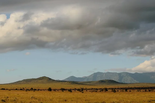 Egy Földút Tsavo East National Park Szavannai Gyepén Kenyában — Stock Fotó