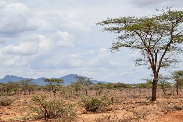 Kenya Daki Samburu Ulusal Rezervi Panoramik Dağ Manzaralarında Ewaso Nyiro — Stok fotoğraf