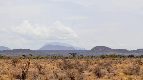 Floden Ewaso Nyiro Panoramautsikt Bergslandskap Samburu National Reserve Kenya — Stockfoto