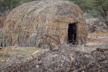 Kenya 'nın Suswa Dağı eteklerinde geleneksel masai çiftlikleri