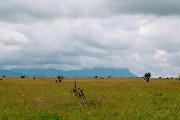 肯尼亚萨沃东部国家公园草原上的一条土路 — 图库照片