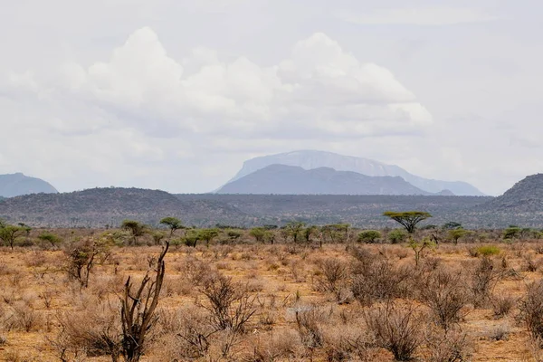 Ewaso Nyiro Dans Les Paysages Montagneux Panoramiques Réserve Nationale Samburu — Photo