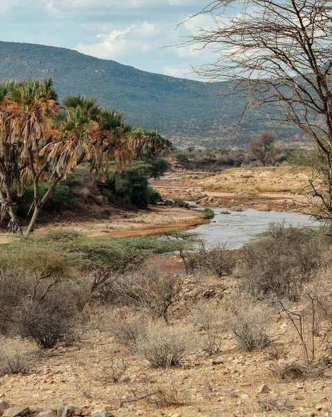 Kenya Daki Samburu Ulusal Rezervi Nin Kurak Manzaralarında Ewaso Nyiro — Stok fotoğraf