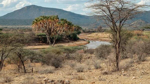 肯尼亚Samburu国家保护区干旱地貌中的Ewaso Nyiro河 — 图库照片