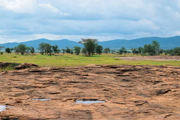 Camino Tierra Pradera Sabana Del Parque Nacional Tsavo East Kenya — Foto de Stock