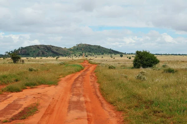 Uma Estrada Terra Batida Savana Parque Nacional Tsavo East Quênia — Fotografia de Stock