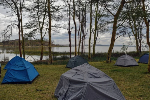 Lakeshore dağlık alanda kamp yapıyor, Elementaita Gölü, Naivasha, Kenya
