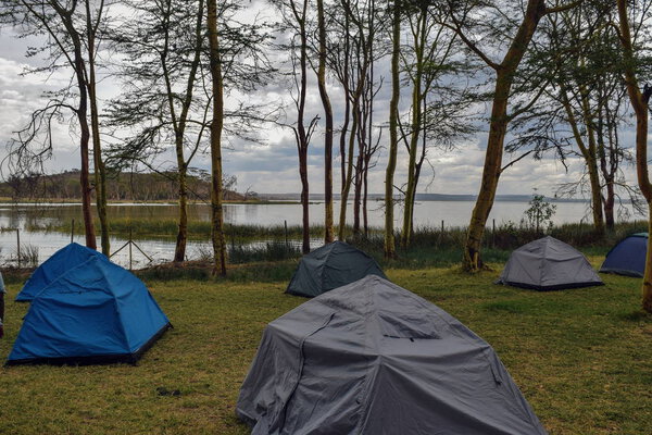 Lakeshore camping against a mountain background, Lake Elementaita, Naivasha, Kenya