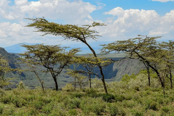 Scenic Vulkanische Krater Tegen Een Montain Achtergrond Mount Suswa Kenia — Stockfoto