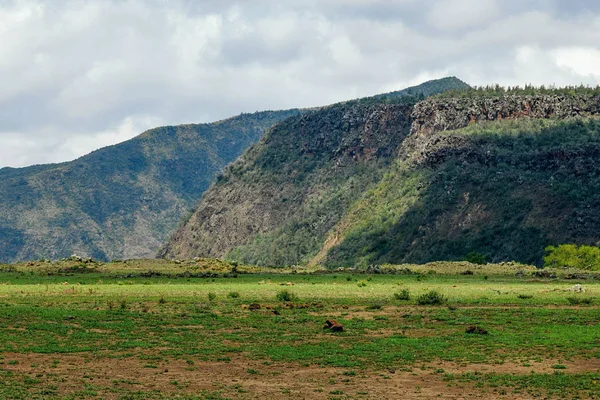 Kenya Daki Suswa Dağı Nın Arka Planında Manzaralı Volkanik Krater — Stok fotoğraf