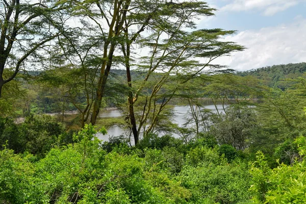 Lago Panorâmico Contra Céu Lago Cratera Naivasha Quênia — Fotografia de Stock