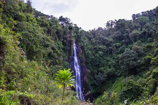 Ormanda manzaralı şelale, Aberdare Sıradağları, Kenya