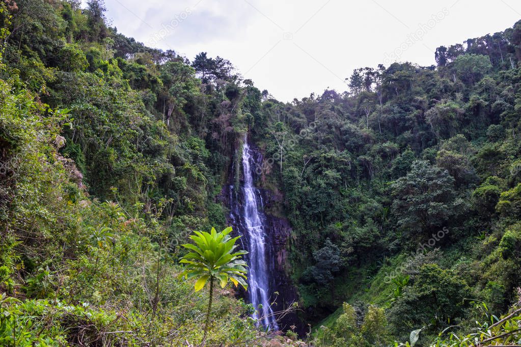 Scenic waterfall in the forest, Aberdare Ranges, Kenya