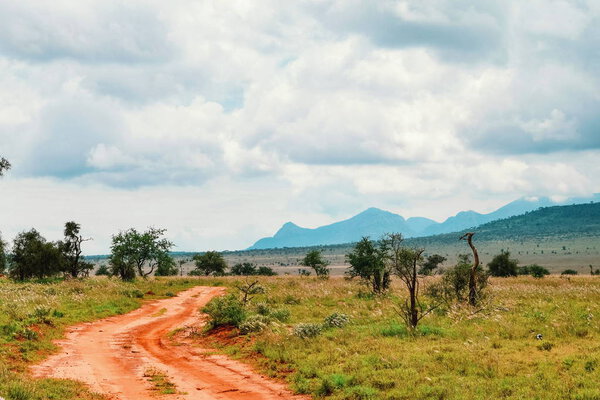 Ландшафт Саванны в национальном парке Цаво, Кения