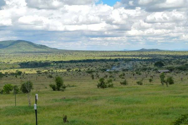 Savannah Travnatá Krajina Národním Parku Tsavo Kenya — Stock fotografie