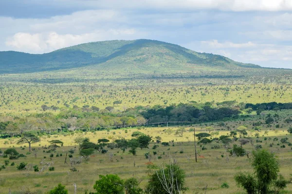 Savannah Grassland Landscape Tsavo National Park Kenya — Stock Photo, Image