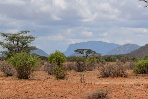 山の背景を背景に風景を避ける Samburu Kenya — ストック写真