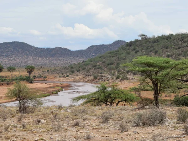 乾燥した背景を持つ川 ケニアのSamburu国立公園のEwao Nyiro川 — ストック写真