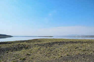 Kenya, Magadi Gölü 'nün kurak manzarasında bir flamingo sürüsü.