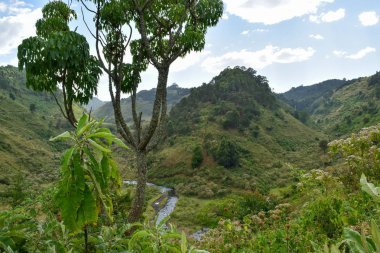 Kenya kırsalındaki manzaralı panoramik dağ manzaralarında yürüyüş yapan Aberdare Sıradağları