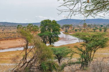 Samburu, Kenya 'da, dağlık bir arka planda ıssız manzaralar