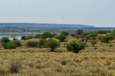Kenya, Magadi Gölü, Rift Vadisi, Kenya kırsalında kurak bir arka planda