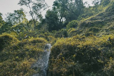 Kenya, Aberdare Dağları 'ndaki manzaralı volkanik manzaralar.