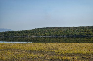 Kenya, Magadi Gölü, Rift Vadisi, Kenya kırsalında kurak bir arka planda
