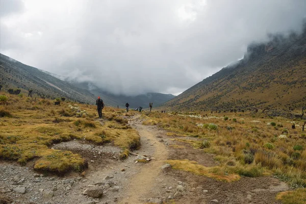 Kenya Dağı 'nın manzaralı dağ manzaralarında yürüyüş.