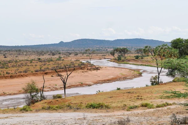 Paysages Arides Sur Fond Montagneux Samburu Kenya — Photo