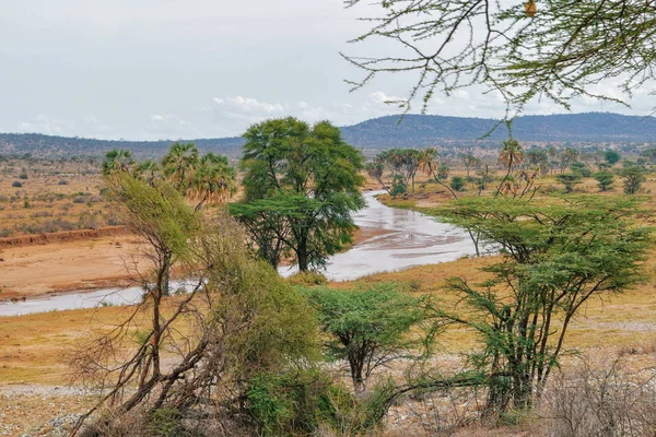 Samburu Kenya Dağlık Bir Arka Planda Issız Manzaralar — Stok fotoğraf