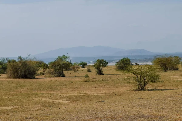 Lago Panorâmico Contra Fundo Árido Quênia Rural Lago Magadi Rift — Fotografia de Stock