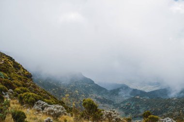 Kenya, Aberdare Dağları 'ndaki manzaralı volkanik manzaralar.