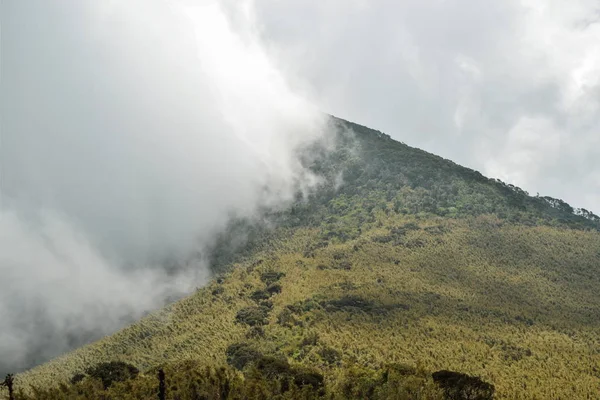 Natursköna Vulkaniska Landskapen Aberdare Ranges Kenya — Stockfoto