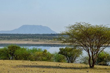 Kenya, Magadi Gölü, Rift Vadisi, Kenya kırsalında kurak bir arka planda