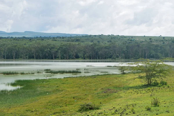 Scenci Lke Contra Céu Lago Elementaita Nivasha Rift Valley Quênia — Fotografia de Stock