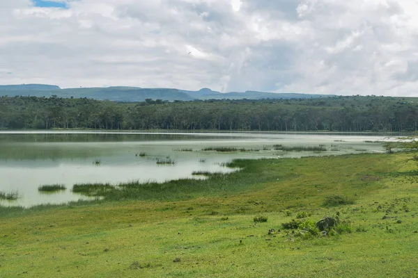 Scenci Lke Sky Lake Elementaita Nivasha Rift Valley Κένυα — Φωτογραφία Αρχείου