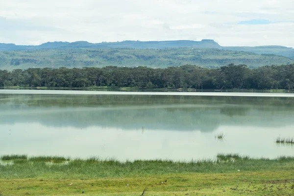 Scenci Lke Contra Céu Lago Elementaita Nivasha Rift Valley Quênia — Fotografia de Stock