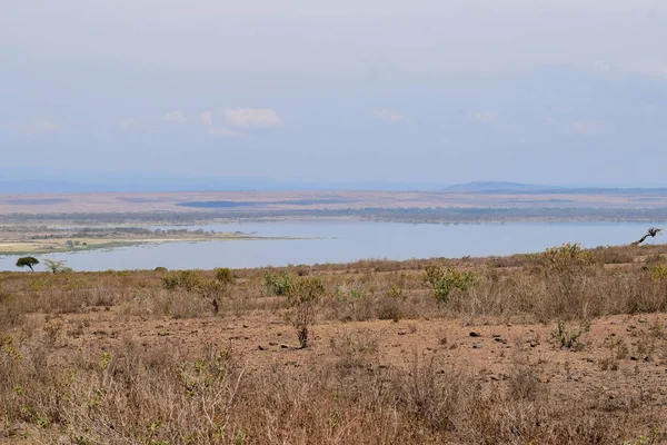 Scenci Lke Sky Lake Elementaita Nivasha Rift Valley Kenya — Stock Fotó