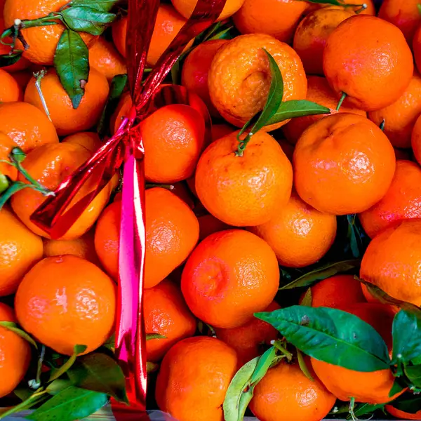 Fresh Tangerines Green Leaves Harvest Concept — Stock Photo, Image