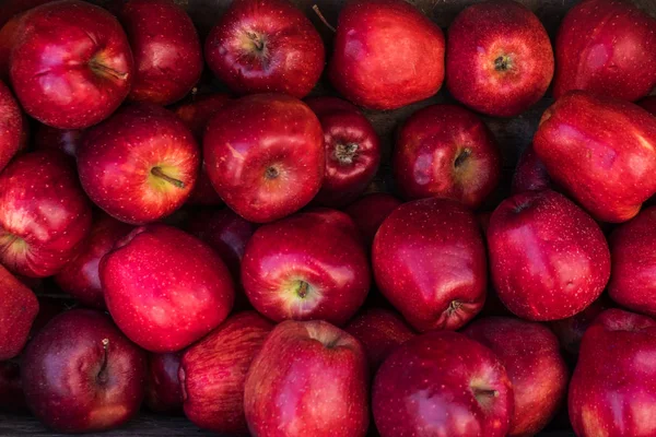 Fresh Red Apples Background Autumn Harvest Concept — Stock Photo, Image