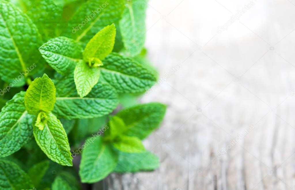 Fresh mint leaves on wooden background, close up 